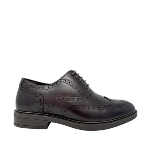 Brogue shoes Lucius para hombre color café